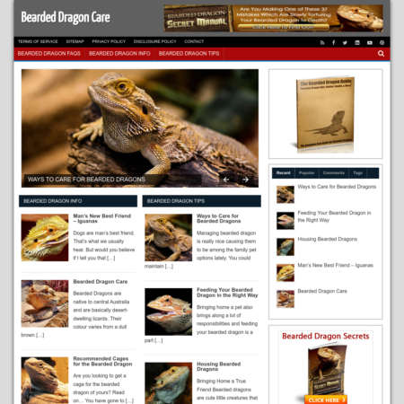 Bearded Dragon Care Website