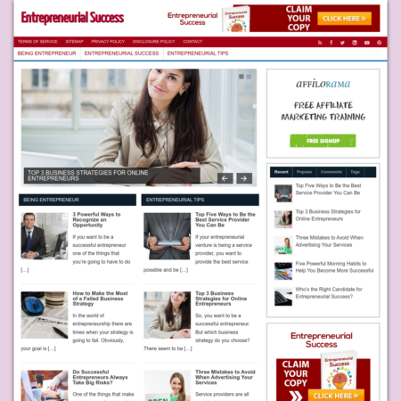 Entrepreneurial Success Website