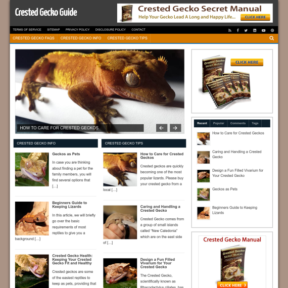 Crested Gecko Guide Website